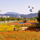 상민목장 이미지