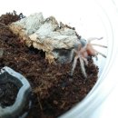 헤어로즈 이미지