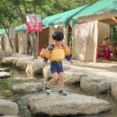 월성계곡산장 | 경남 거창 월성계곡산장 평상 텐트 대여 계곡 앞에서 놀고 온 후기