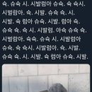 더 리얼 짐 이미지