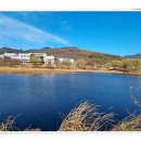 중동소류지 이미지