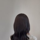 하올디자인 이미지