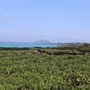 송악산 인증센터 이미지