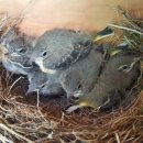 둥지농원 이미지