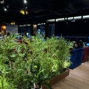 시선 광안리점 이미지