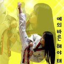 예의바른 해야 태권도장 이미지