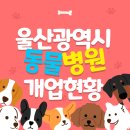 쿨펫동물병원 홈플러스북구점 | 울산광역시 영업중인 동물병원 현황, 남구 중구 북구 울주군
