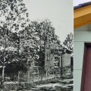 메리놀의원 이미지