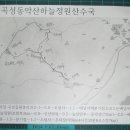 곡성동악산하늘정원산수국 이미지