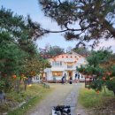 봉곡동311 이미지