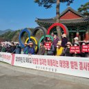 명은태양광발전소 강원도민일보