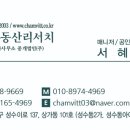 참빛공인중개사사무소 이미지