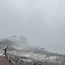 [완도 여행] 하루의 시간이 있다면 이렇게. 정도리 구계등 &gt; 완도수목원 &gt; 장도