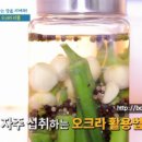 오크라 피클 천기누설 오크라마늘 장아찌 하루섭취량 부작용