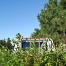 여정농장 이미지