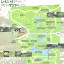 중랑천 뚝방길 (옥외22) | 2392-한밤의 사진편지 제2392호(제435회 주말걷기 후기 - 김운자.주재남/&#39;16/6/21/화)