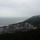 커피모나코