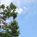 아빠와 고래 이미지