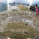 금오도 휴식처 이미지