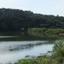 학동제일 이미지