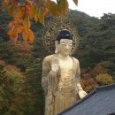속리산 법주사 이미지