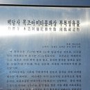 신돈까스 이미지