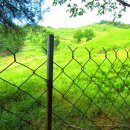 매봉농장 이미지