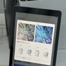 밀스칼프 이미지