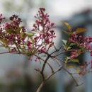 대구시립중앙도서관 이미지