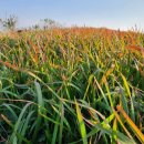 두월천농장 이미지