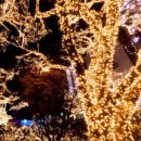 태양스토어 이미지