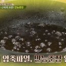 춘장 - 거창군 동동3길 3 | 춘장