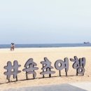 속초홍게쓰버거
