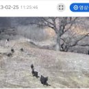 솔잎목장 이미지