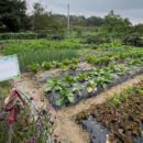 유성농장 이미지