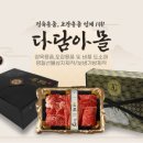 주식회사다다몰