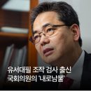 유서대필 조작 검사 출신 국회의원의 ‘내로남불’ 이미지