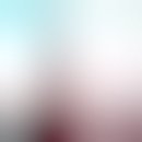 유어펫그루밍 이미지