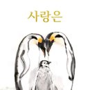 릴리모네 이미지