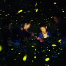 최북미술관김환태문학관 전시실 | 9월 무주 가볼만한곳 축제 무주반딧불축제 적상산사고 머루와인동굴 김환태문학관 로망스투어