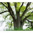 신흥푸른축산 | 코로나 피해서 힐링! 해외느낌가득한 국내 여행지 추천