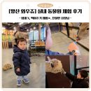 와우쥬 | [양산 와우쥬] 아이랑 실내 동물원 체험 후기 비 오는 날도 OK!