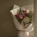 다시 돌아온 1월 일상.zip