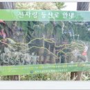 바우길 1구간 | [스크랩] ＜선자령풍차길(강릉바우길1구간) 걷기여행＞길동무프로그램 후기