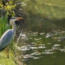 한양스크린골프장(스크린) | 서울 양천구 신월5동 한양스크린골프장 가격 시간 예약 후기