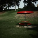 피크닉앤(Picnic&) | 쿠마, 호주의 숨겨진 보석: 감성을 깨우는 여행 큐레이션