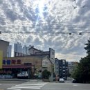 서상 | 창원 중동 미용실 [피넛헤어 창원서상점] 두피클리닉 후기