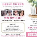 인셀덤 아카데미 이미지