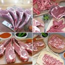 고운동 맛집) 국립 세종 수목원 관람 후 시원하고 깊고 진한 동태찌개.. &#34;강연우동태찌개 세종직영점&#34;