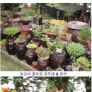 유명꽃마을 이미지